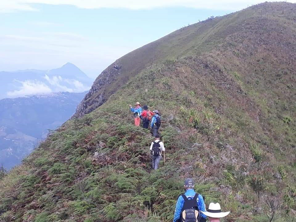 experiencia san vicente