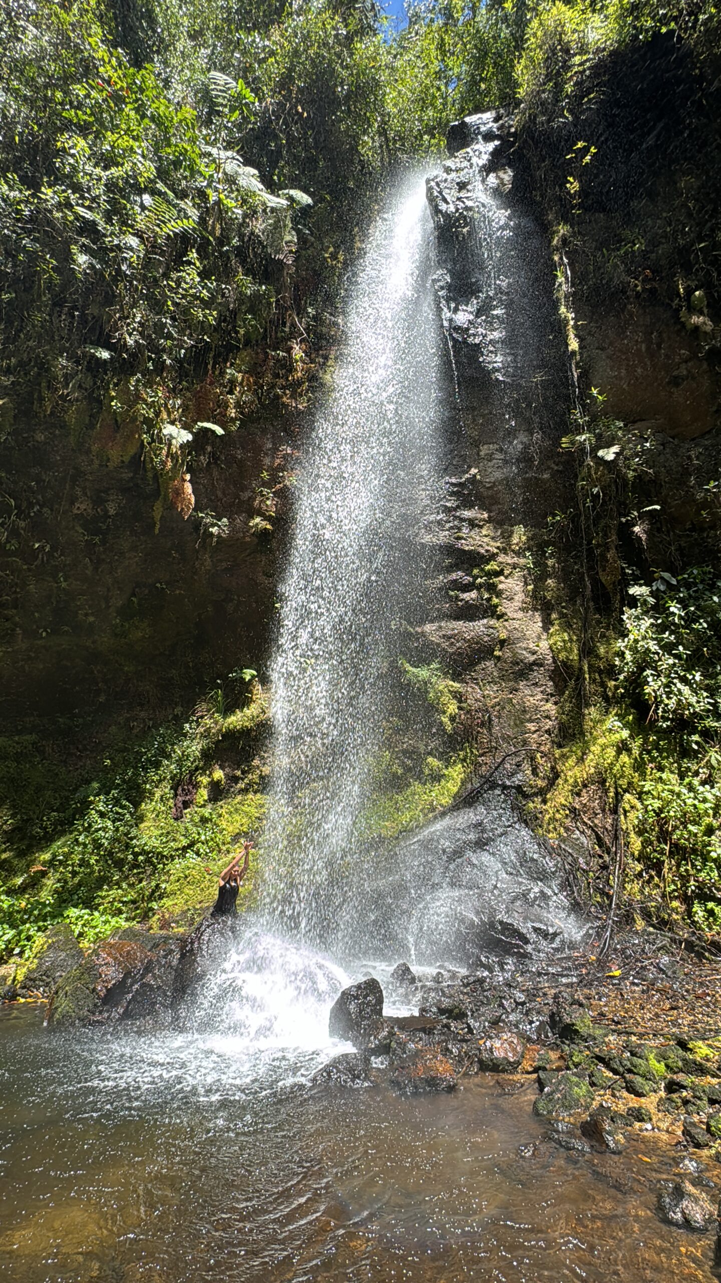 experiencia san vicente